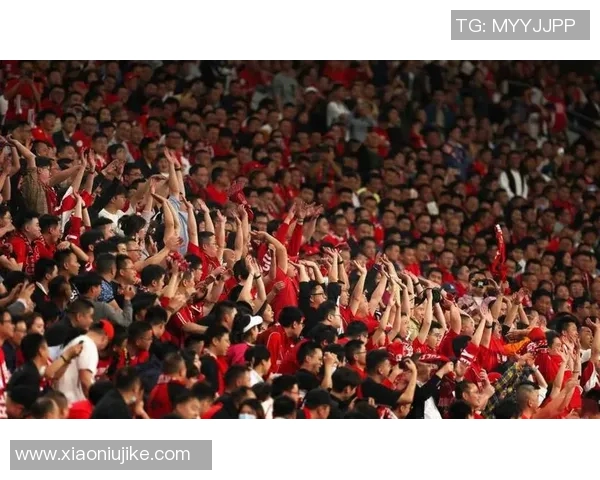 中国球迷组织成最大助威团震撼全场场面火爆气氛热烈助力球队迈向胜利